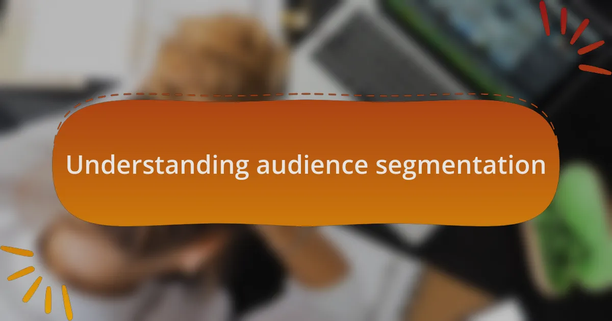 Understanding audience segmentation